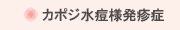 カポジ水痘様発疹症