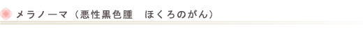 メラノーマ（悪性黒色腫　ほくろのがん）